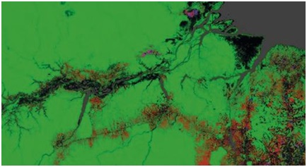 غوغل إيرث يكشف فقدان 1,5 مليون كيلومتر مربع من الغابات