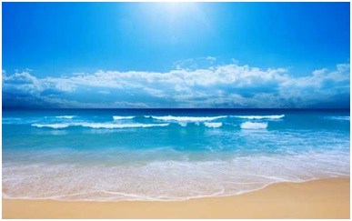 ظاهرة تحمض المحيطات تسببها التغيرات المناخية