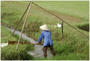 طرق الزراعة القديمة تكبح انقراض الحيوانات والنباتات