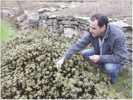 بحماية الطبيعة نحافظ على "صيدلية الحياة"