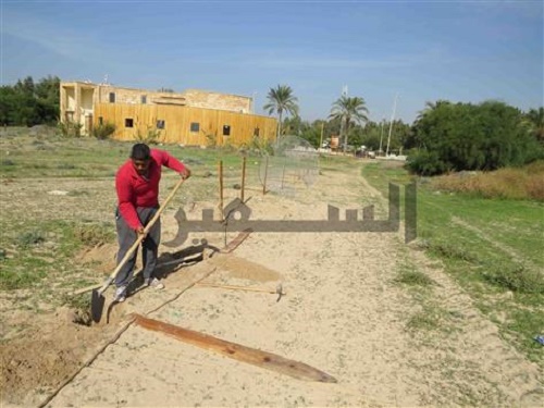 الممرات البيئية تحمي النباتات النادرة في محمية صور