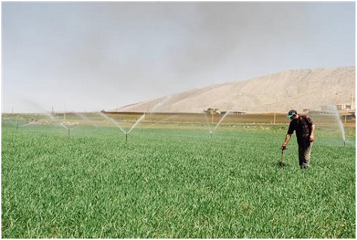 النهج الترابطي