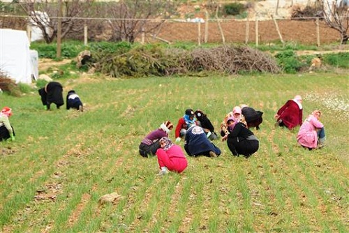 تداعيات انحباس الأمطار تلوث وغلاء أسعار 