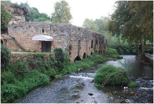 الأنظمة الغذائية التقليدية تخفف الأمراض الحديثة