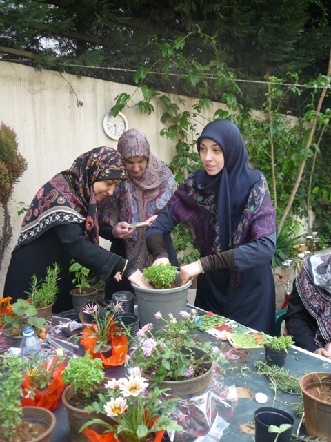 ندوة حول العناية بالنباتات المنزلية