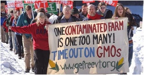 شركة &laquo;مونسانتو&raquo; تشرّع لنفسها التلاعب بجينات النباتات