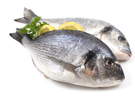 السمك وزيته عنصر توازن صحي وبيئي