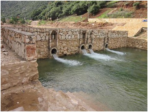 هل تصمد محمية وادي الحجير؟