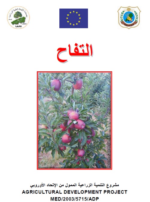 زراعة التفاح
