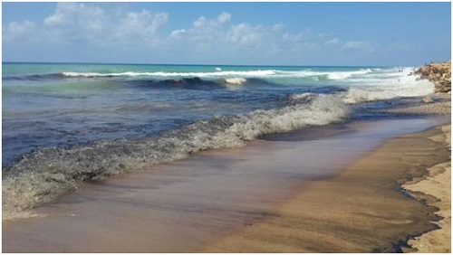 بواخر الفيول تلوث الشاطئ بالمخلفات النفطية