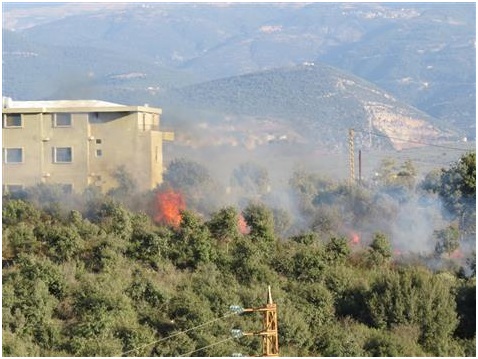الحرائق تهدد أرز لبنان في العام 2040