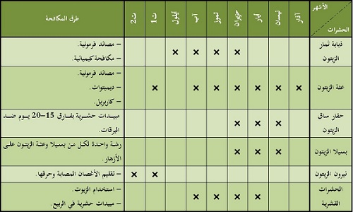 أهم الحشرات الإقتصادية التي تؤثر على إنتاج شجرة الزيتون ونوعية الزيت