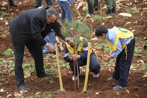 200 شجرة صنوبر في محمية مدارس المهدي (عج) كفرفيلا