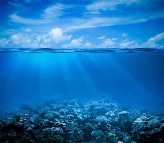اليوم العالمي للمحيطات