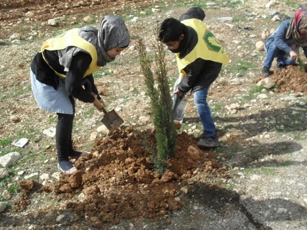 150 غرسة في بلدة شمسطار