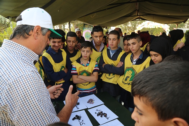 افتتاح مهرجان الزيتون في الهرمل