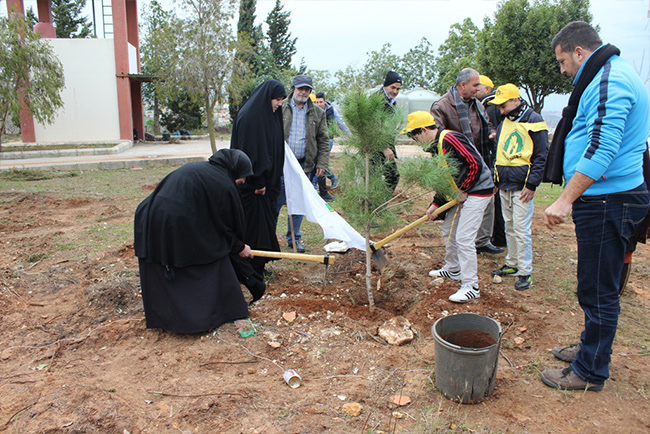 حملة تشجير في الجنوب