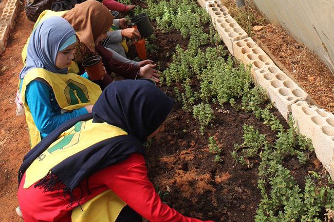 ورشة عن زراعة النباتات في مركز جهاد البناء - دردغيا بالتعاون مع معهد السيدة زينب (ع)