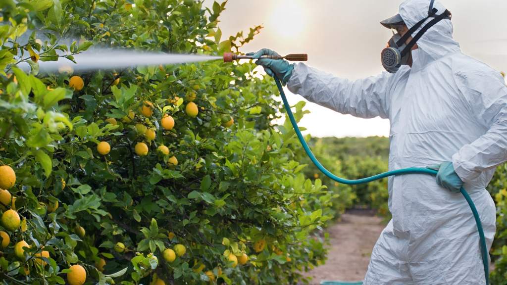   هل تستخدم المبيدات الزراعية بشكل سليم؟