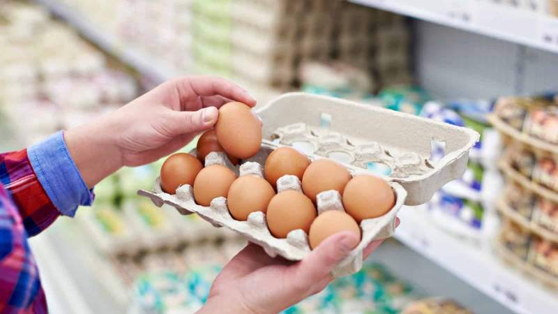 معلومات هامة للمستهلك حول بيض المائدة 