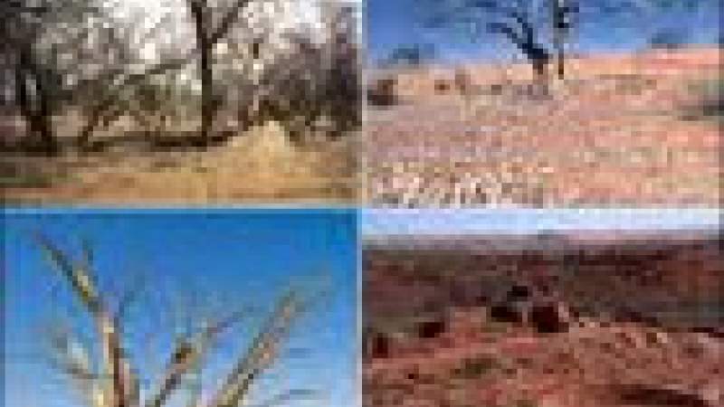 مكافحة الحرائق باعتماد خطة تحريج وطنية