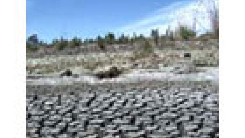 جفاف كوانين