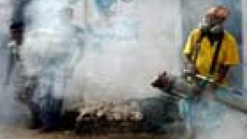 رش المبيدات: «إنجاز ضبابي» للبلديات