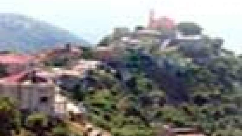 نهار بيئي لوفد اغترابي في أيطو