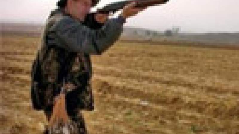 الصيد العشوائي يهدد النظام البيئي.. الطيور إلى انقراض والقانون مجمّد بفعل الضغوطات!