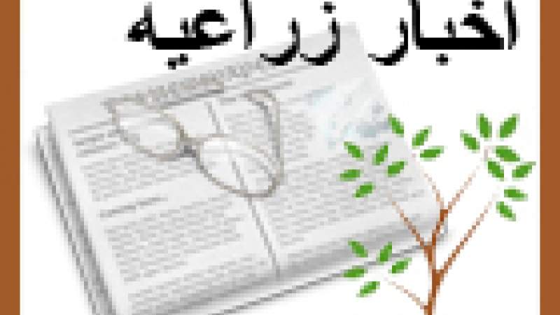 إرشادات للمزارعين قبل عودة الأمطار