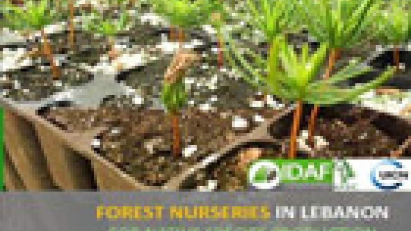 المشاتل الحرجية في لبنان من أجل إنتاج الأصناف المحلية