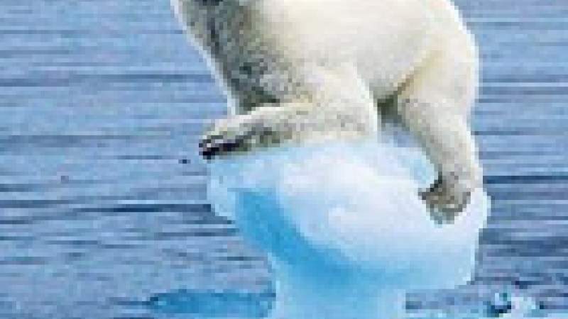 قضية تغيّر المناخ العالمي تتلقى ضربة أكبر من تلك الناجمة عن مؤتمر دوربان