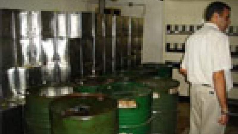 تحديــد آليــة تســلم زيــت الزيتــون