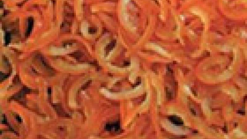 «البوصفير» الشتوي يُعدّل حرارة الصيف, تمتاز شجرة البوصفير بقدرتها على تحمّل التقلبات المناخية