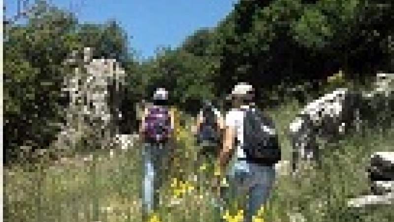 مرسوم بحماية «جبل موسى» من وزارة البيئة