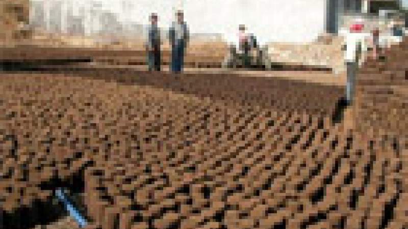 بقايا الأحراج والمزروعات والزيوت والشحوم والنفايات ... يمكن أن توفر 3% من حاجتنا إلى الطاقة!