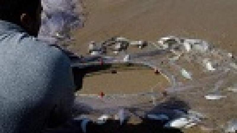 شاطئ الهري: اشفطوا الرمـال و«كبّوها بالبحر» 