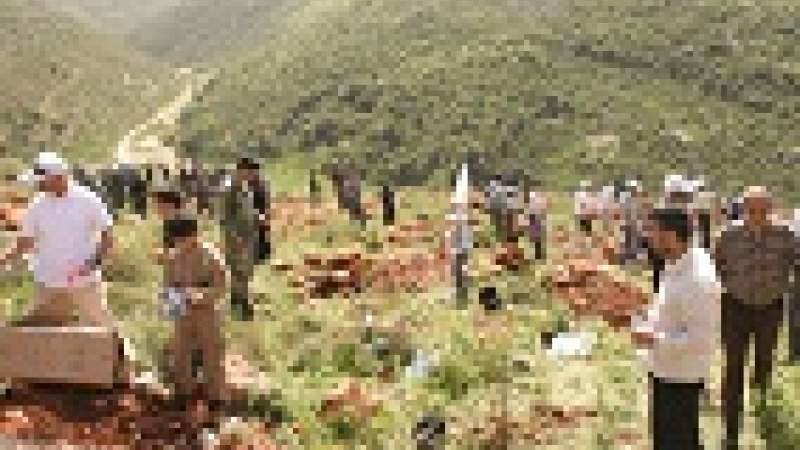 اطلاق حملة تشجير في محمية رشاف