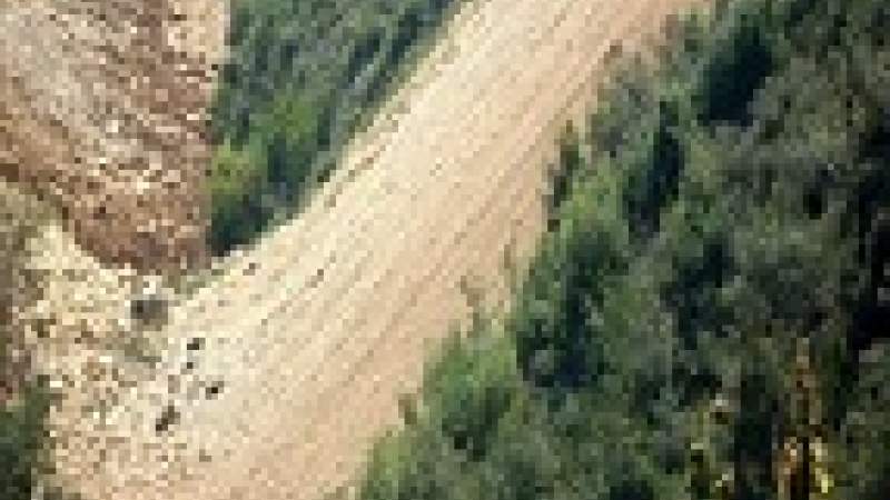 طبيعة بلا حدود تناشد المسؤولين وقف التعدي على الاحراج