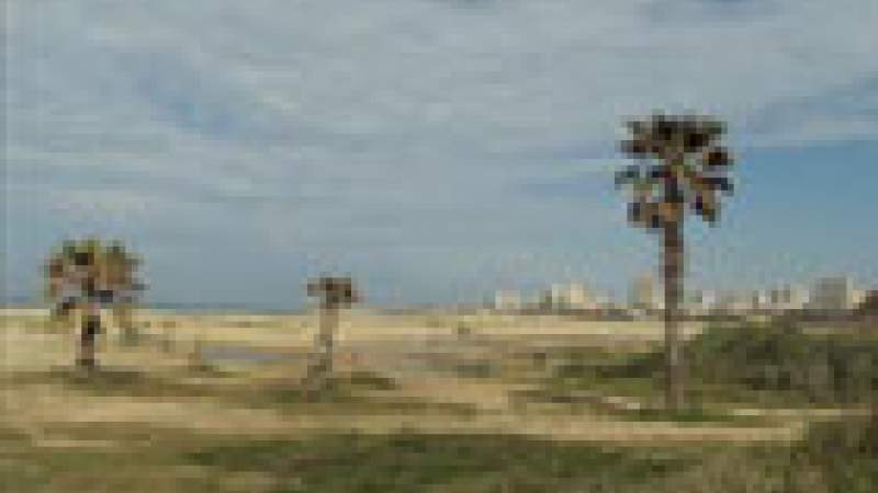 «محميـة صـور» غيـر محميّة