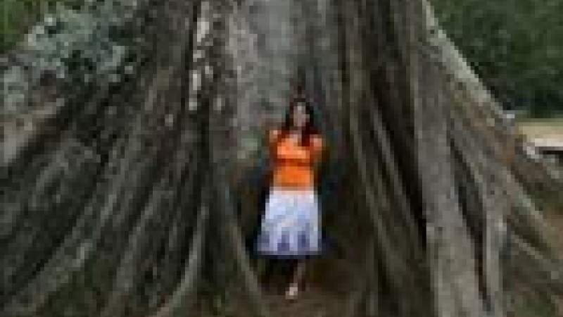 «الاقتصـاد الأخضـر»: تغيـير لون بنـاء.. علـى وشـك الانهيـار!