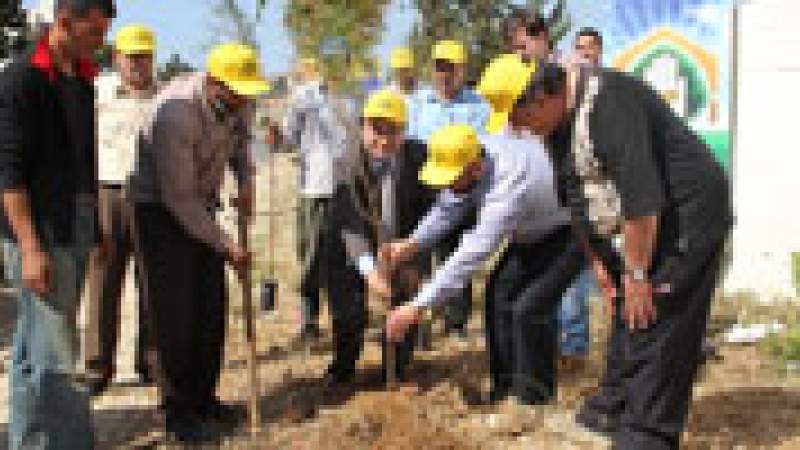 حملة غرس الأشجار 2012 في الجية