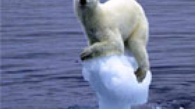 دراسة نباتية تلوح بمخاطر ارتفاع حرارة الأرض