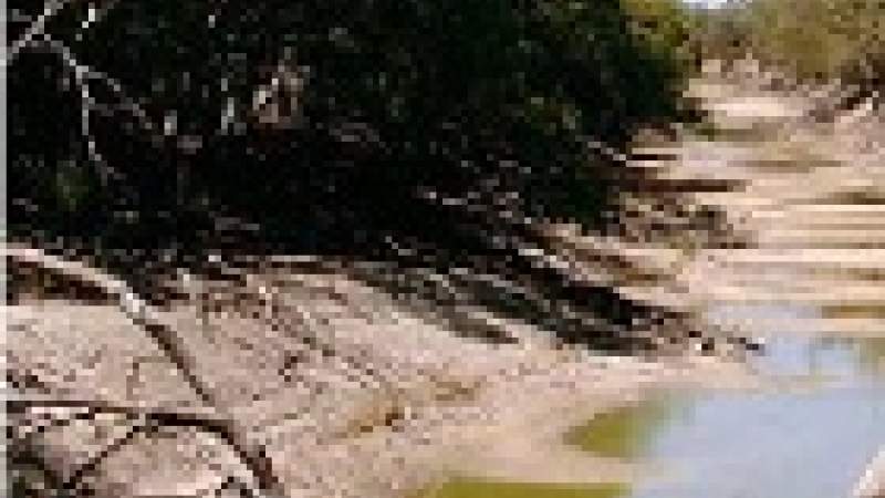 الصّندوق العالمي للطّبيعة يدقّ ناقوس الخطر!