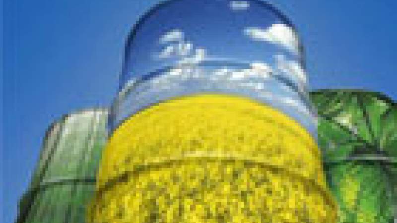 الطاقة الحيوية في لبنان