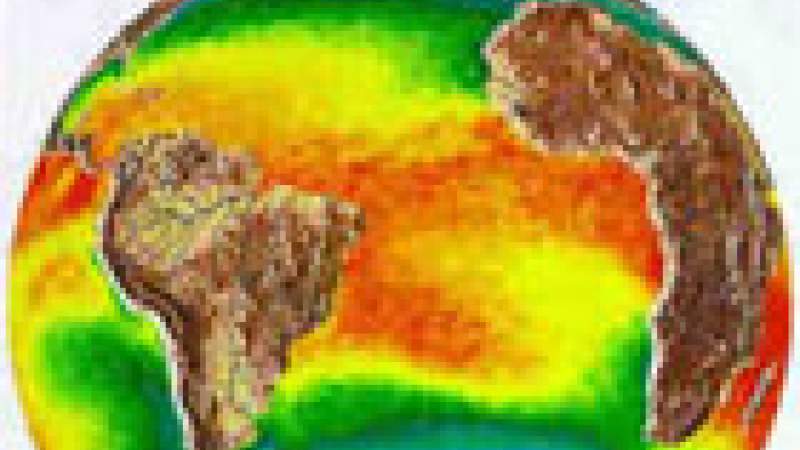 تغير المناخ يهدد الثلوج وأشجار الارز في لبنان