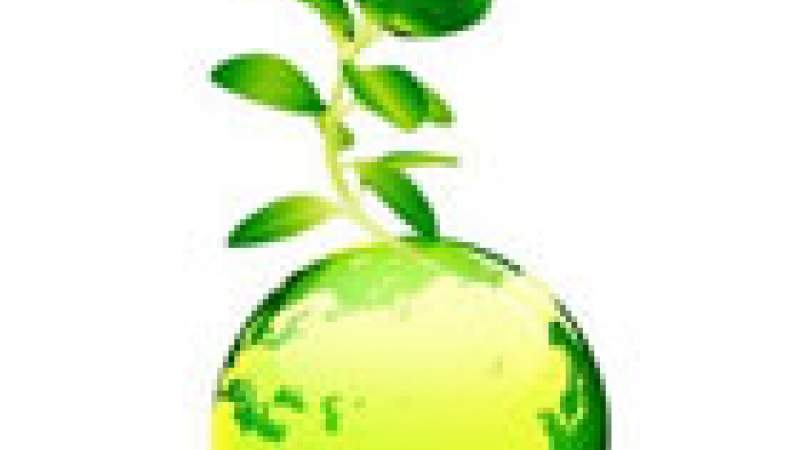 إنشاء أول بنك متخصص بالبيئة في العالم 