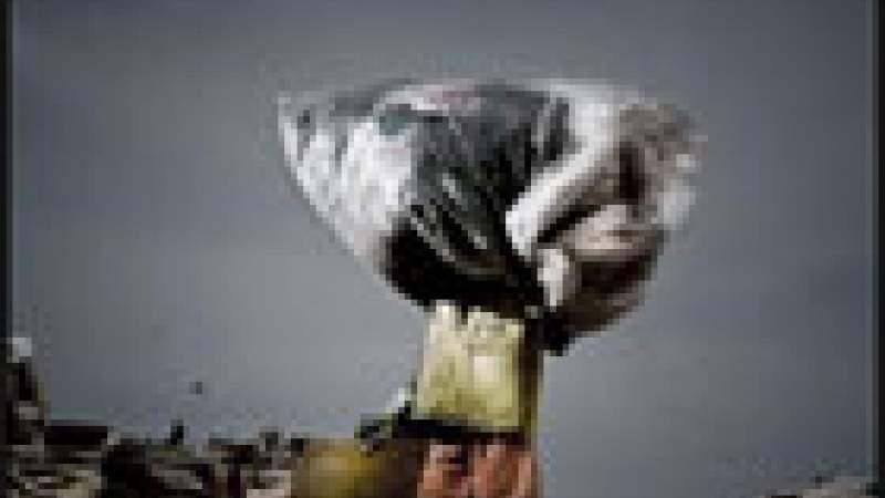 العالم لا يزال بعيداً عن تحقيق التنمية المستدامة برغم مئات الاتفاقيات الدولية!