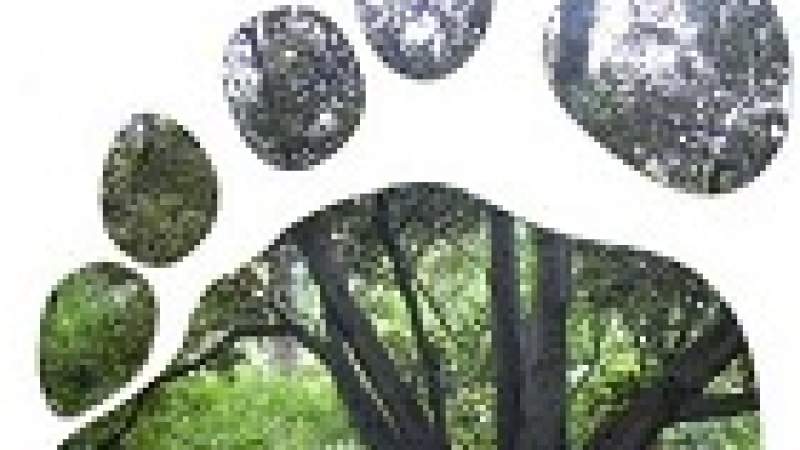 احترس وأنت تضع بصمتك البيئية