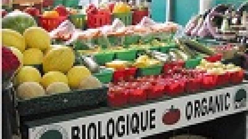 السفير» تنشر «استراتيجية قطاع الإنتاج العضوي».. لفتح النقاش